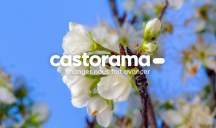 Everyday pour Castorama – « Campagne Jardin Castorama 2023 »