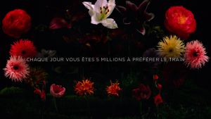 TBWA\Paris pour SNCF – « Fleurs »